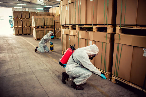 Best Mosquito Control Services  in Ojus, FL