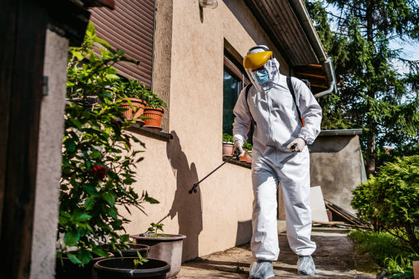 Pest Control for Restaurants in Ojus, FL