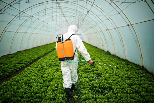 Best Pest Control for Restaurants  in Ojus, FL
