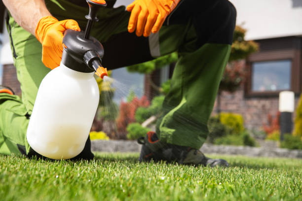 Best Flea Control Services  in Ojus, FL