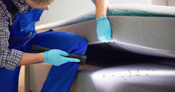 Best Best Pest Control Near Me  in Ojus, FL