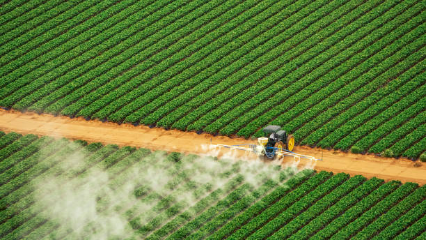 Best Pest Control Treatment  in Ojus, FL