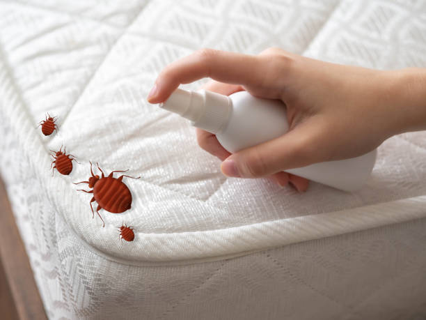 Best Pest Prevention Services  in Ojus, FL