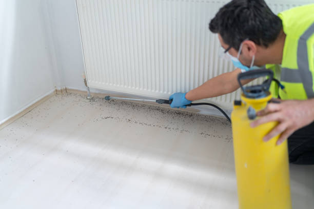 Best Bed Bug Extermination  in Ojus, FL