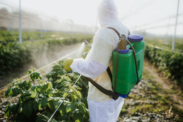 Best Pest Control for Homes  in Ojus, FL